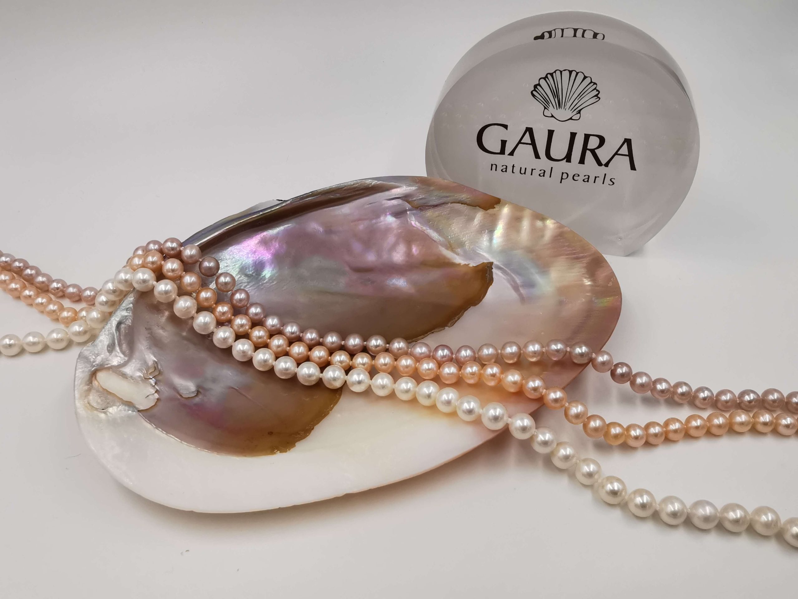 Gaura Pearls Concha de mejillón de agua dulce - Imagen 4