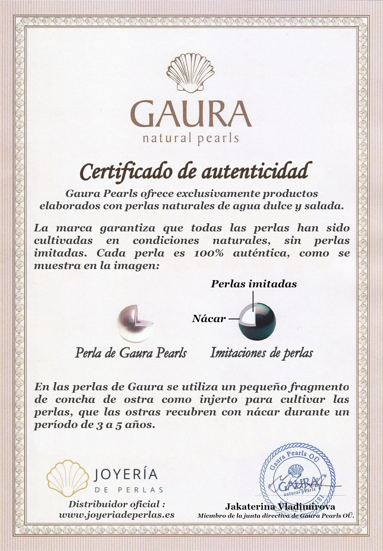 Pendientes de perlas de agua dulce en plata de ley 925 con baño de rodio – Gaura Pearls - Imagen 3